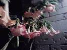 P261012_23.45_[04]