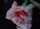 P261012_23.54_[02]