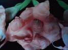 P261012_23.54_[03]