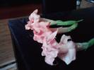 P261012_23.54_[06]