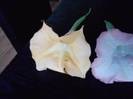 P261012_23.55_[02]