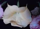 P261012_23.55_[03]
