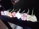 P261012_23.58_[01]