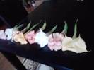 P261012_23.58_[02]