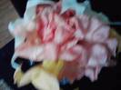 P271012_00.01_[01]