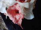 P271012_00.01_[04]