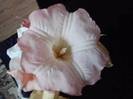 P271012_00.02_[01]