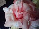 P271012_00.04_[01]