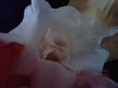 P271012_00.04_[02]