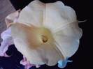 P271012_00.04_[03]