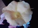 P271012_00.04_[04]