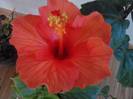 P201012_00.00_[01]