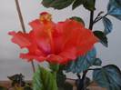 P201012_00.00_[02]