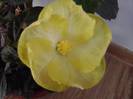 P201012_03.37