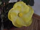 P201012_03.37_[01]