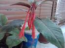 P201012_03.37_[02]