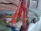P201012_03.37_[03]