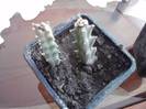 P221012_00.50_[02]