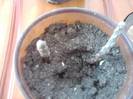 P221012_00.58_[01]