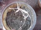 P221012_00.59_[02]