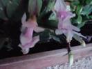 P241012_05.43_[01]