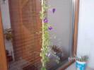 P191012_07.37_[01]