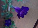 P191012_07.38_[02]