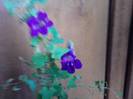 P191012_07.39_[01]
