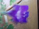 P191012_07.39_[02]