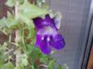 P191012_07.40_[02]