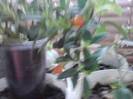 P211012_22.51_[02]
