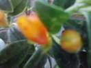 P211012_22.52_[03]