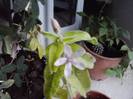 P261012_23.42_[03]