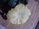 P201012_21.57_[02]