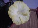 P201012_21.57_[01]