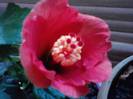 P221012_22.09_[01]