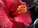 P231012_03.05_[01]