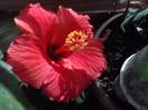 P231012_03.05_[02]