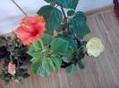 P201012_03.40