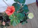P201012_03.40_[01]