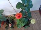 P201012_03.40_[02]