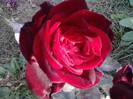 P201012_04.15