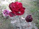 P201012_04.16