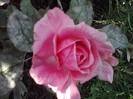 P201012_04.16_[04]
