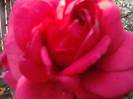 P201012_04.16_[07]