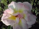 P201012_04.17_[02]