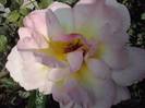 P201012_04.17_[03]