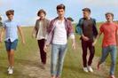 One Direction-Live while we're young