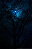 Dark_Moon_by_ChrisAddams