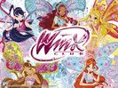 winx belvix